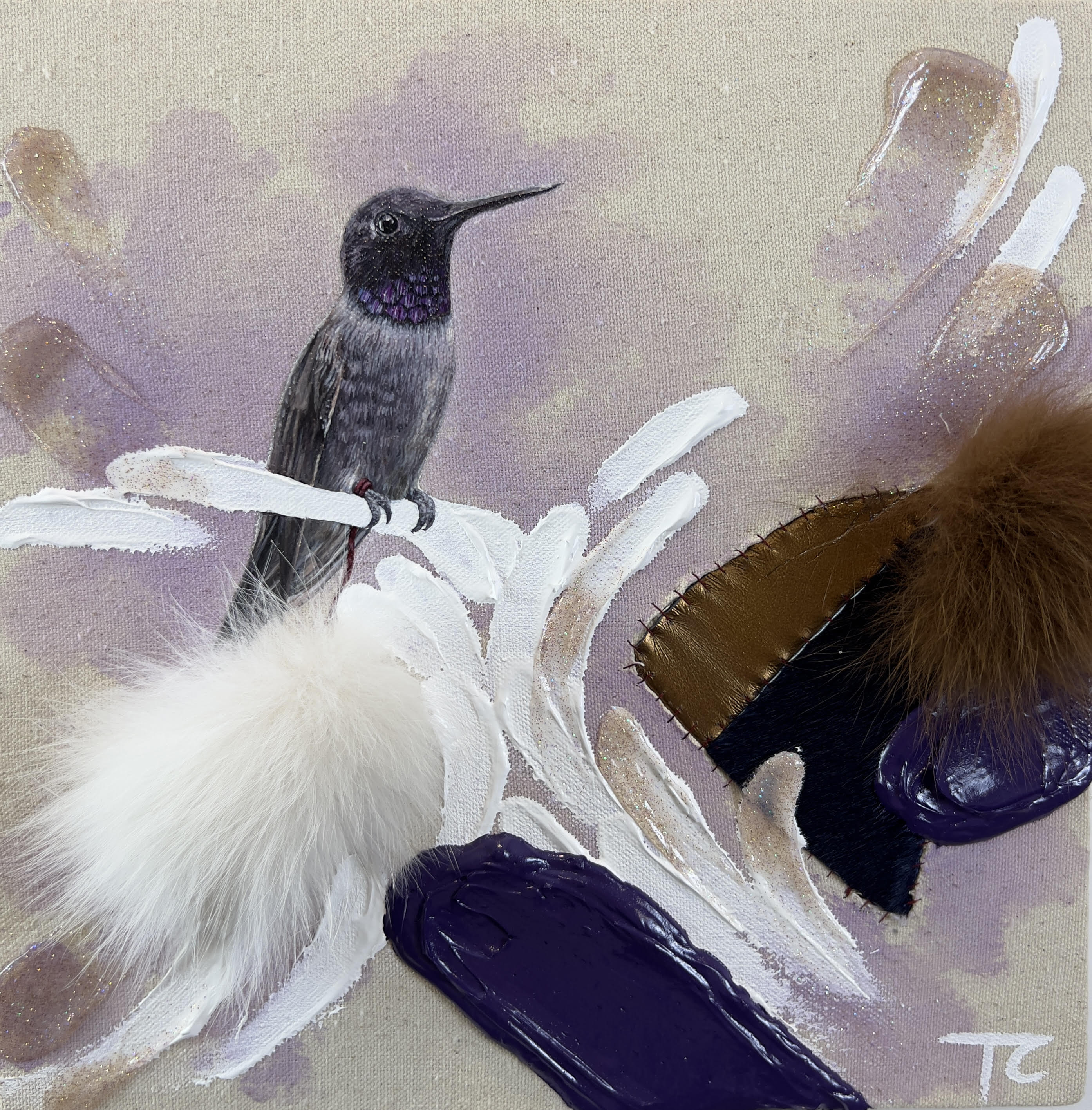 Black-chinned hummingbird 